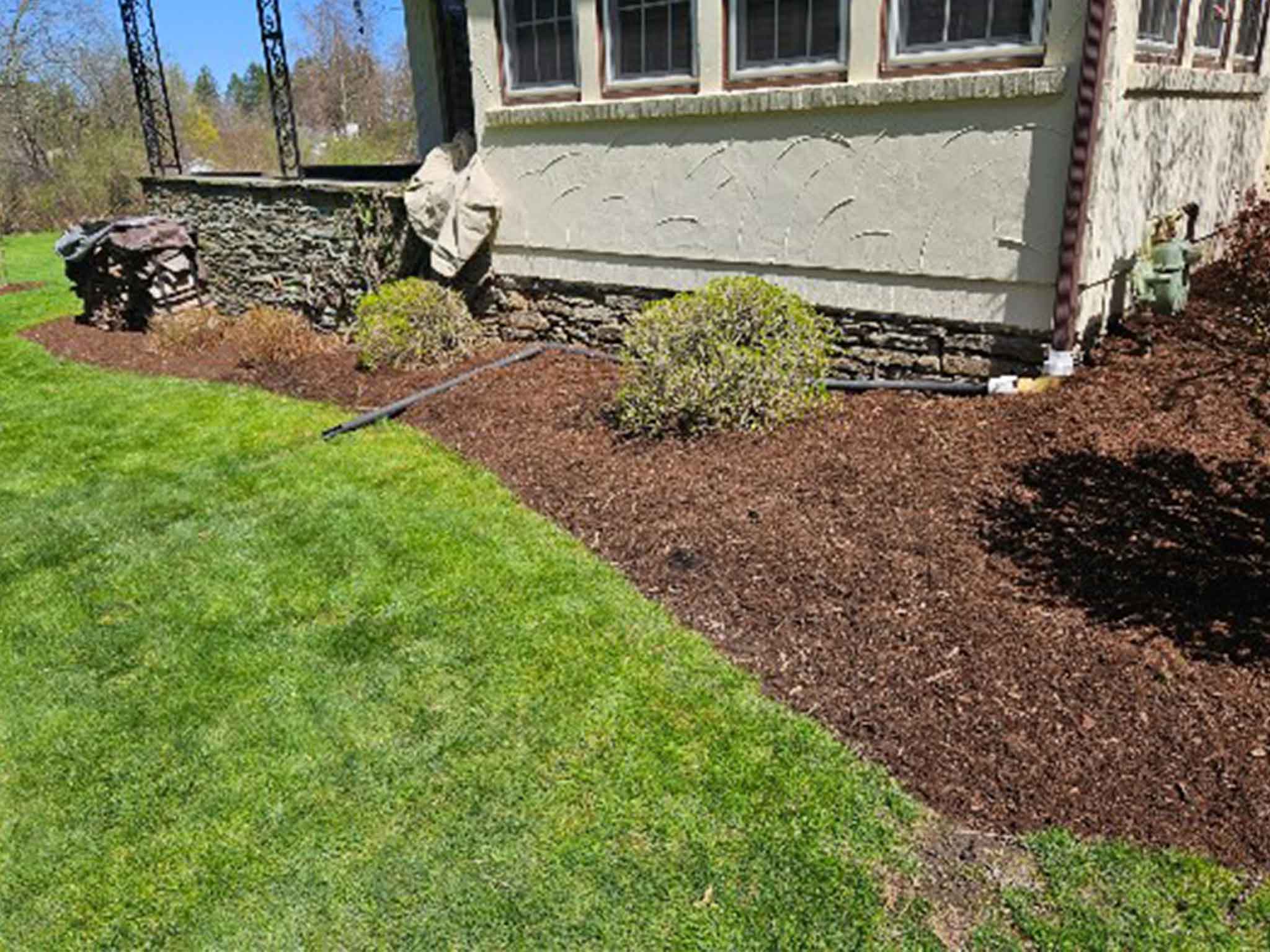 grass meeting mulch on manicured yard